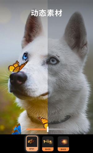 1647247287170285.jpg
