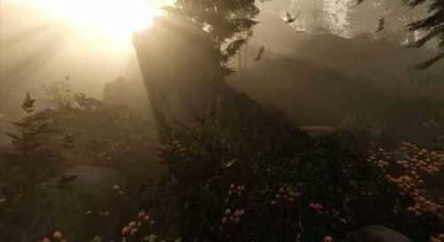 森林游戲手機版下載-森林游戲手機版免費下載v1.02