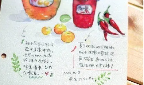 教程視頻-水彩畫的基本步驟