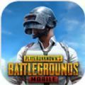 絕地求生手游國際服(PUBG MOBIL...