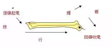 書法教程入門毛筆-毛筆書法字體入門基礎(chǔ)教程