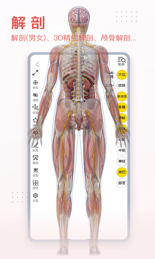 3dbody解剖app下載-3dbody解剖手機版下載v8.7.23