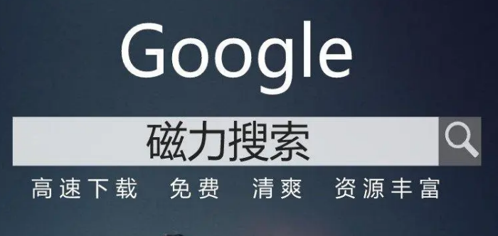 內置瀏覽器的磁力搜索app大全