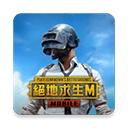 絕地求生臺服(PUBG MOBILE)