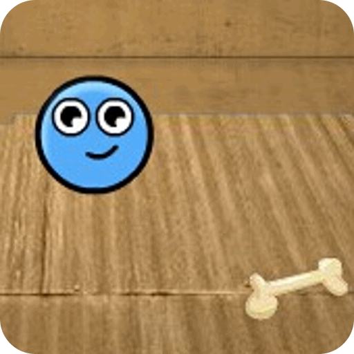 養(yǎng)只寵物球