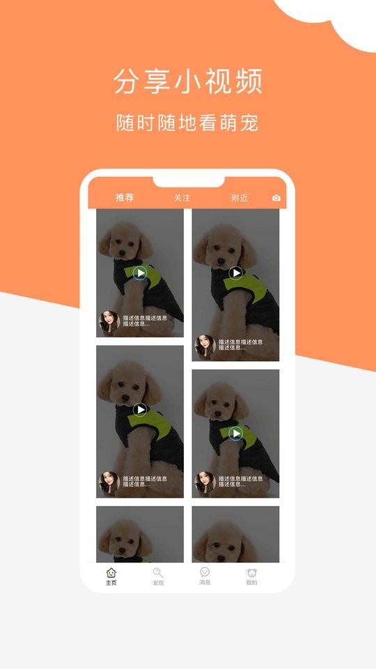 棲寵app下載-棲寵最新版下載v1.1.6