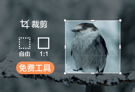 免費(fèi)裁剪圖片尺寸大小