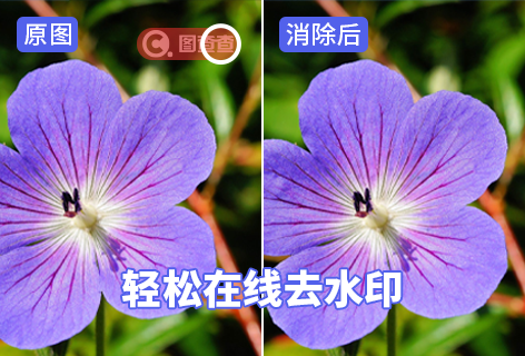 免費(fèi)好用的去水印工具分享