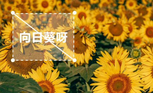 消除視頻中的水印-去除視頻中不需要的部分