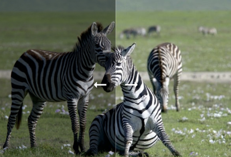 在線圖片曝光修復編輯器