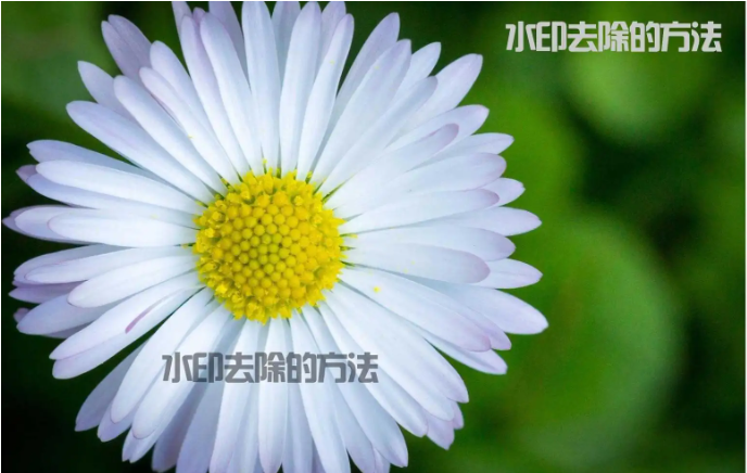 智能自動去除水印或字幕-自動識別去水印工具