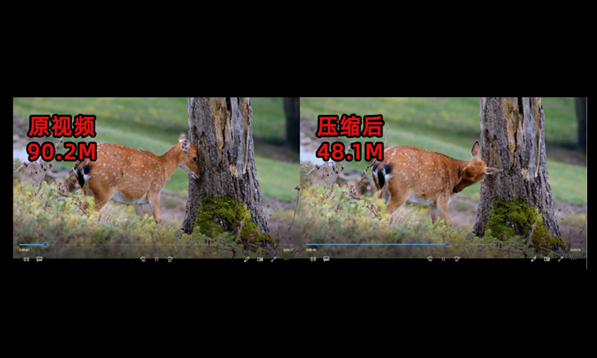 在線免費(fèi)壓縮視頻-無損視頻壓縮工具