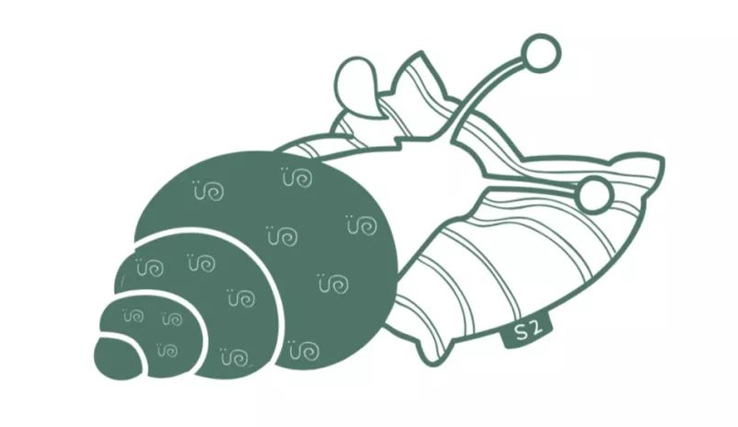 蝸牛睡眠怎樣開始睡眠