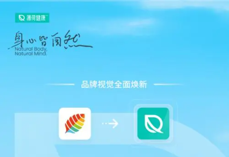 薄荷健康怎么看基礎(chǔ)代謝