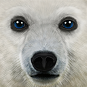 終極北極熊模擬器(ArcticSim)