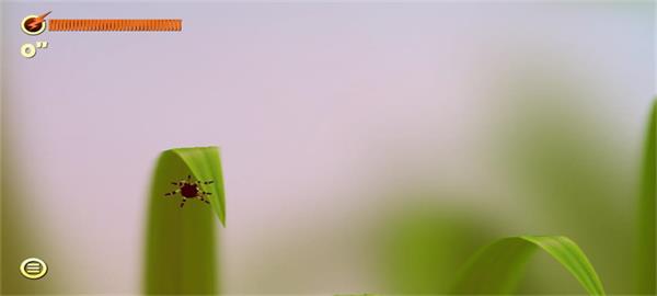 蜘蛛的冒險(xiǎn)