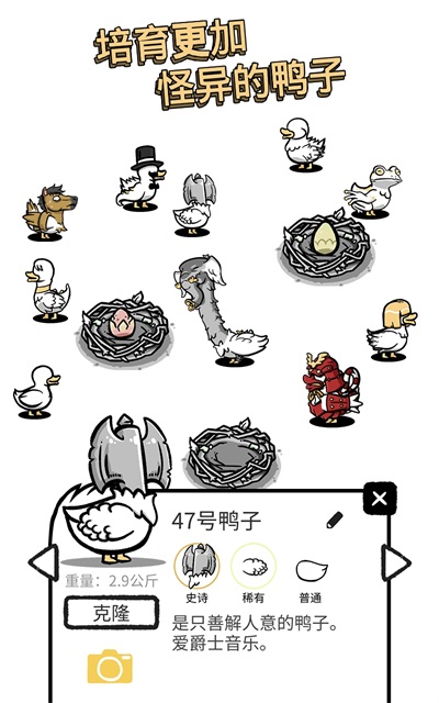 怪鴨世界