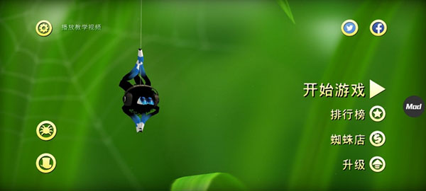 蜘蛛的冒險(xiǎn)