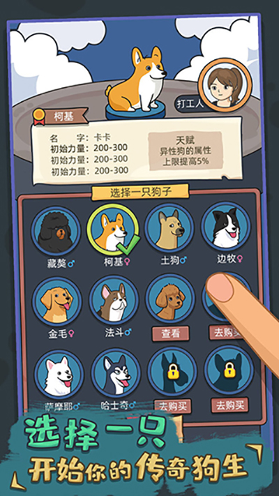 狗生模擬器