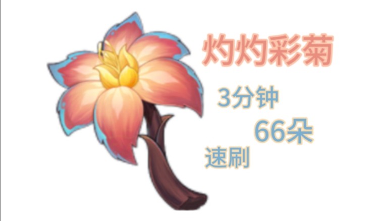 原神5.0灼灼彩菊位置在哪
