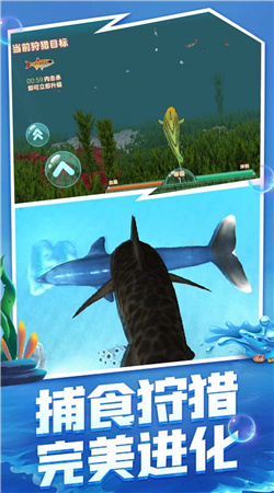 海洋霸主進化記