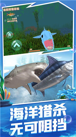 海洋霸主進化記