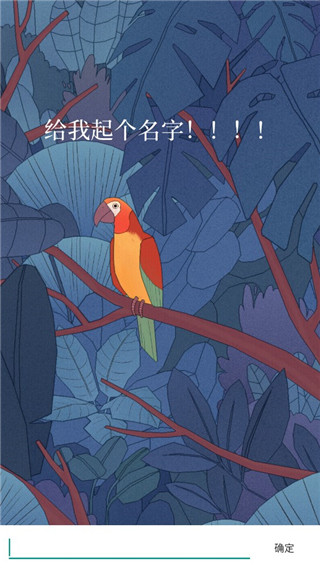孤獨的鳥兒正版