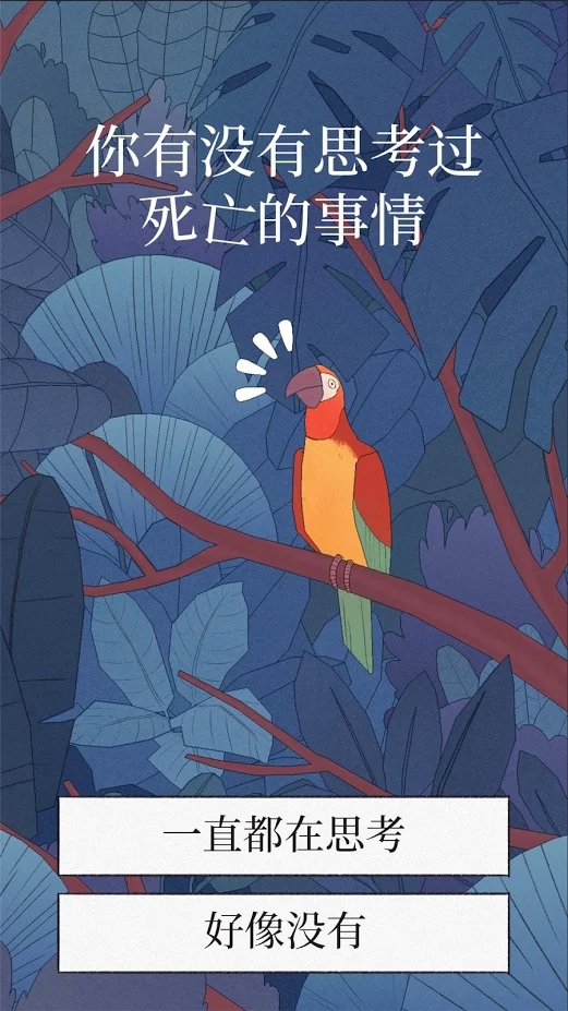 孤獨的鳥兒正版