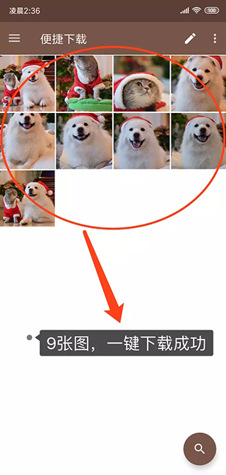 便捷下載