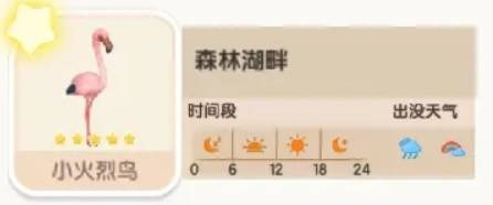 心動小鎮小火烈鳥在哪