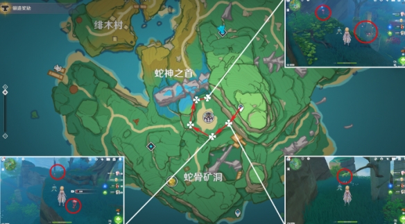 原神4.5血斛采集地點(diǎn)在哪-原神4.5血斛采集路線(xiàn)一覽