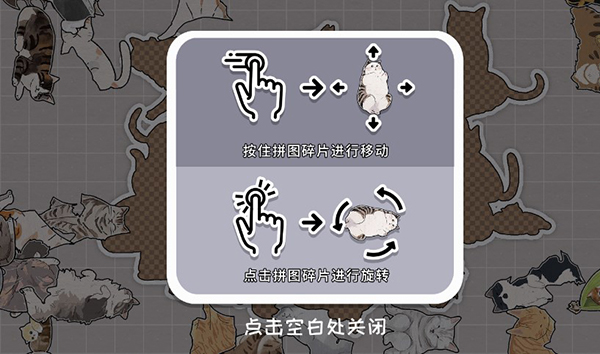 擠在一起的貓貓游戲手機版