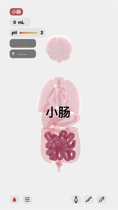 life生命模擬器