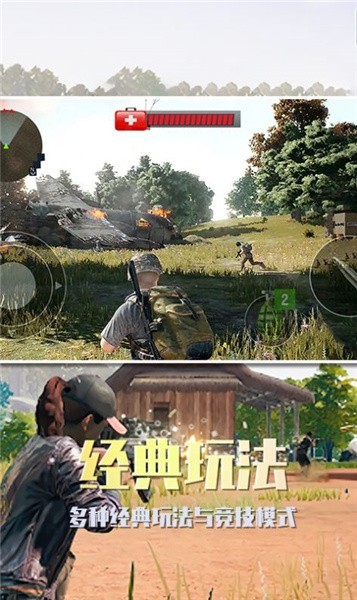 沙漠雄鷹