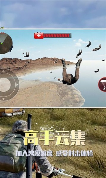 沙漠雄鷹