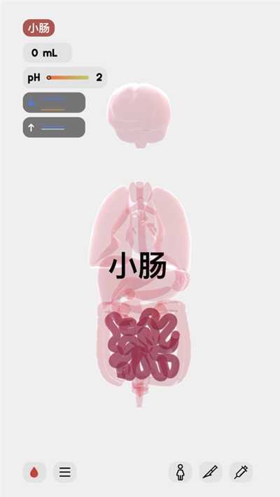 生命人體模擬器中文版