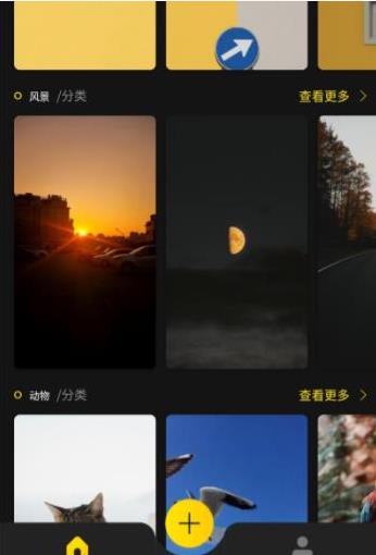 紙?zhí)潜诩? class=