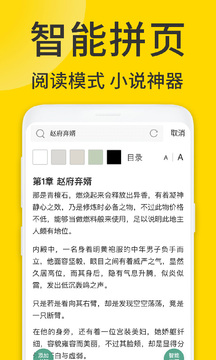 ViaX瀏覽器純凈版