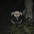 看不見的秘密