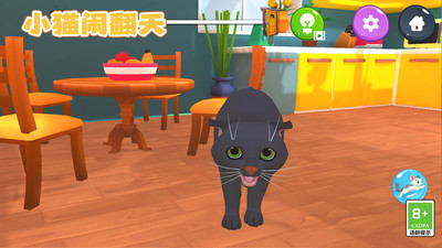 小貓鬧翻天