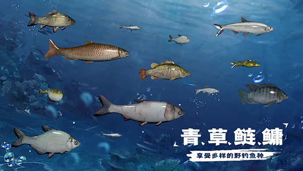 天天釣魚無限金幣最新版