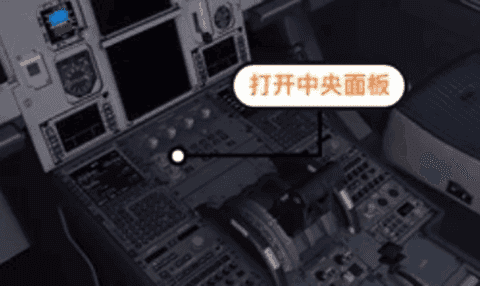 專業(yè)模擬飛行10手機版