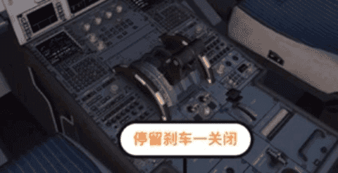 專業(yè)模擬飛行10手機版