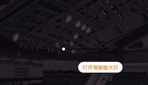 專業(yè)模擬飛行10手機版