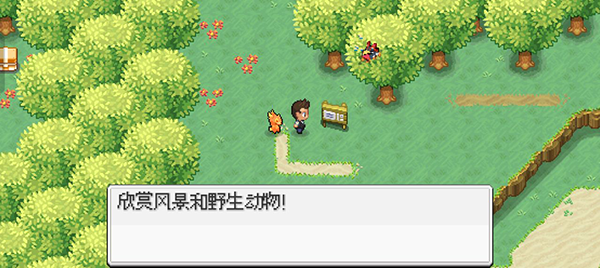 超進化精靈2折相思