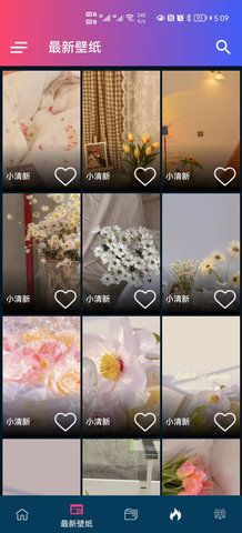 見(jiàn)笑壁紙