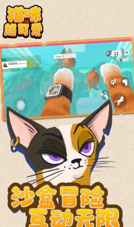 貓咪超可愛 貓咪超可愛