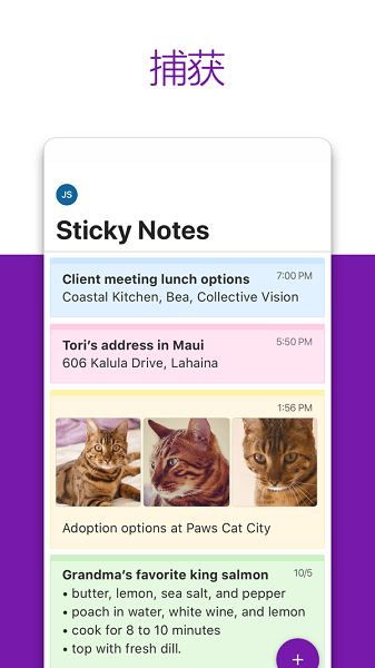 OneNote