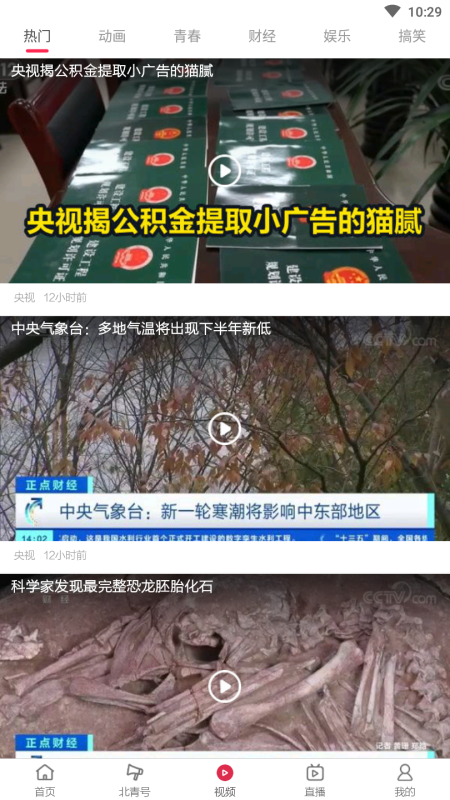 北京青年報
