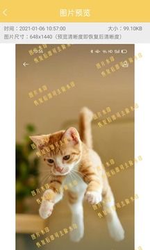 數(shù)據(jù)恢復(fù)工具